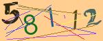 圖片的 CAPTCHA