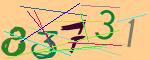 圖片的 CAPTCHA