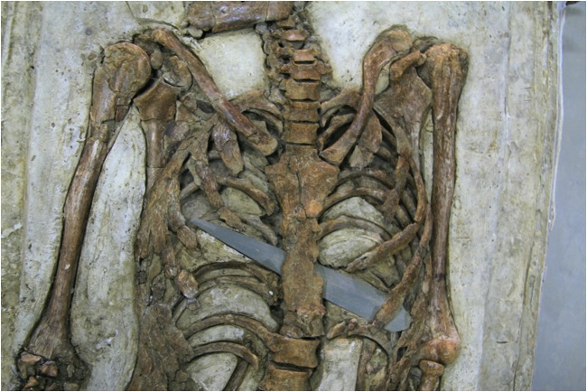三抱竹遺址G16 II B1於胸腔中穿插一個大鏃頭